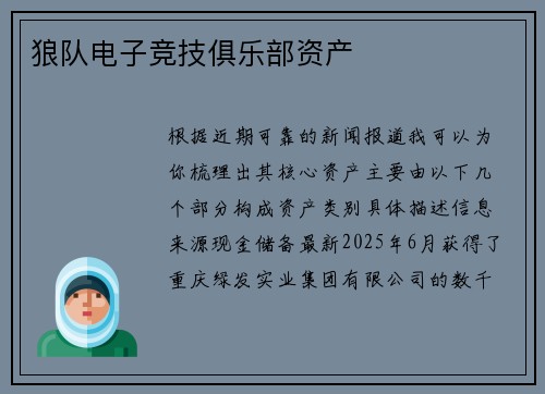 狼队电子竞技俱乐部资产